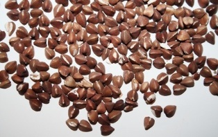 how to lose weight on a buckwheat diet